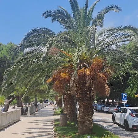 Del Mare * Цриквеница